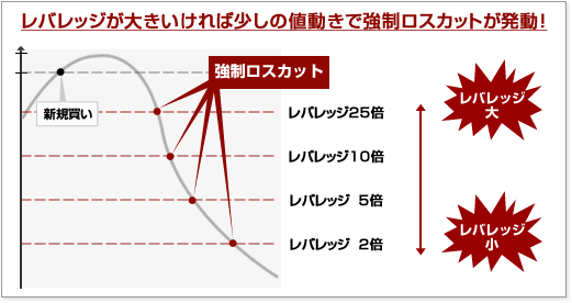 レバレッジ調整