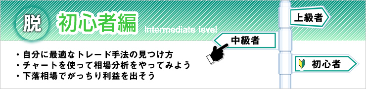 脱ビギナーズ PC版イメージ